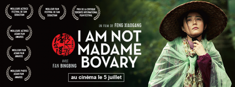 I Am Not Madame Bovary Dvd